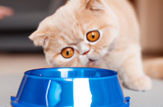 Состав: вода, ананасовый сок, мясо кур, витамин Б12, таурин.  Инструкция по применению: давать по 1 столовой ложке в день для кошек весом до 5 кг, и по 2 столовых ложки в день для кошек весом более 5 кг. Рекомендуется разделить дозу на два приема: утром и вечером. Перед использованием взболтать.  Показания: поддержание общего здоровья кошки, повышение иммунитета, усиление пищеварения, восстановление после болезни, укрепление костной системы и зубов.  Противопоказания: индивидуальная непереносимость компонентов, беременность, лактация, котятам до 6 месяцев.