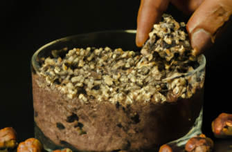 Семена черного тмина с медом: рецепт, польза и лечебные свойства, способы применения